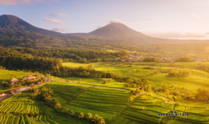 Desa wisata jatiluwih sebuah permata geografis dan budaya yang tersembunyi di lereng Batukaru