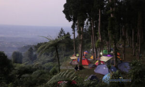 Batu Tapak Camping Ground