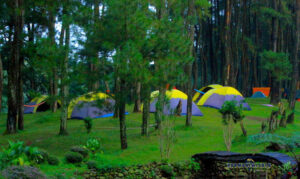 Curug Ciputri