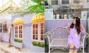 Lavender The Purple Medan
