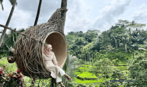 tegalalang rice bali