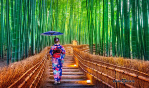 Arashiyama Bamboo Grove, Kyoto
