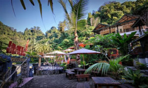 Bukit Lawang Sumatra Utara