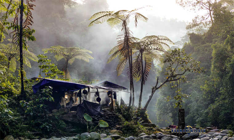 Bukit Lawang jungle