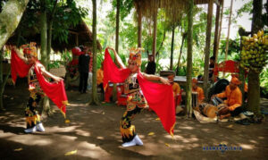Desa Osing