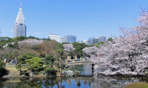 Shinjuku Gyoen, Tokyo