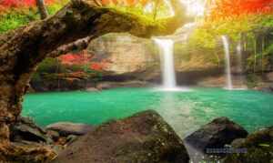 Taman Nasional Khao Yai