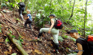 jungle trekking bukit lawang