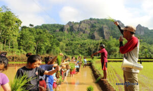 Aktivitas Seru di Desa Nglanggeran