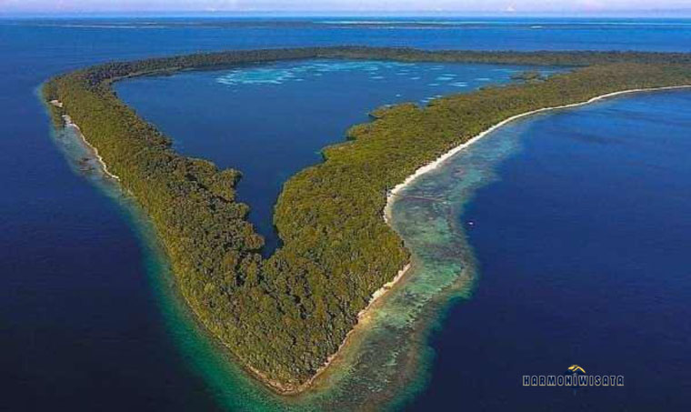 Danau Kakaban: Surga Tersembunyi di Kalimantan Timur