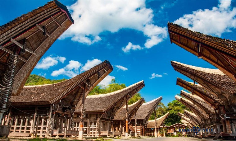 Liburan ke Tana Toraja: Jelajah Budaya Unik di Tanah Para Leluhur