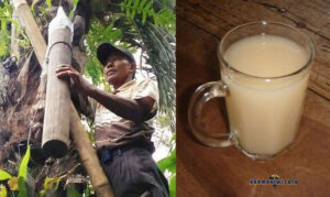 Kuliner Khas Toraja yang Wajib Dicoba