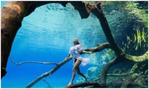 Snorkeling di danau labuan cermin