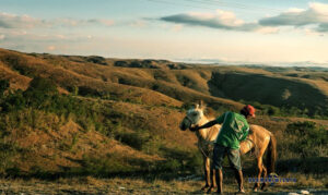 Wisata Bukit Wairinding, Sumba Timur