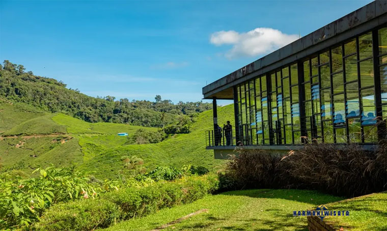 Cameron Highlands