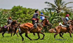 Festival Pasola – Sumba, Nusa Tenggara Timur