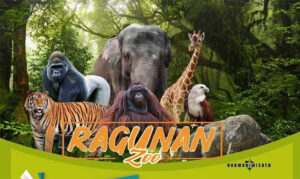 Kebun Binatang Ragunan – Jakarta