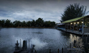 Kolam Pancing Sukamaju – Medan