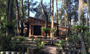 Ngopi di Armor Kopi Bandung