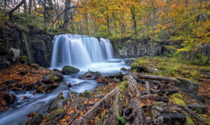 Oirase Gorge