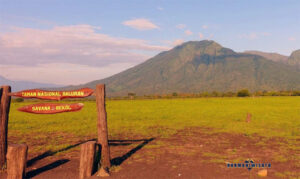 Taman Nasional Baluran – Banyuwangi