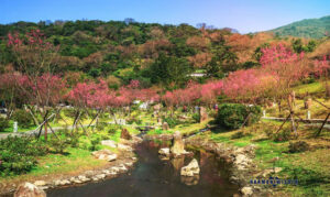 Yangmingshan National Park