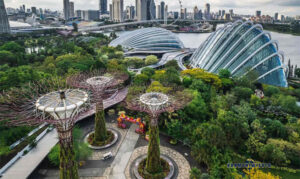 Gardens by the Bay