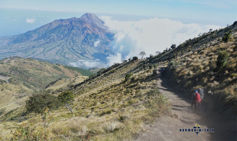 Jalur Gunung Merbabu