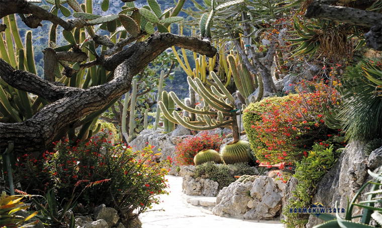 Jardin Exotique Monaco