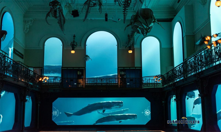 Oceanographic Museum