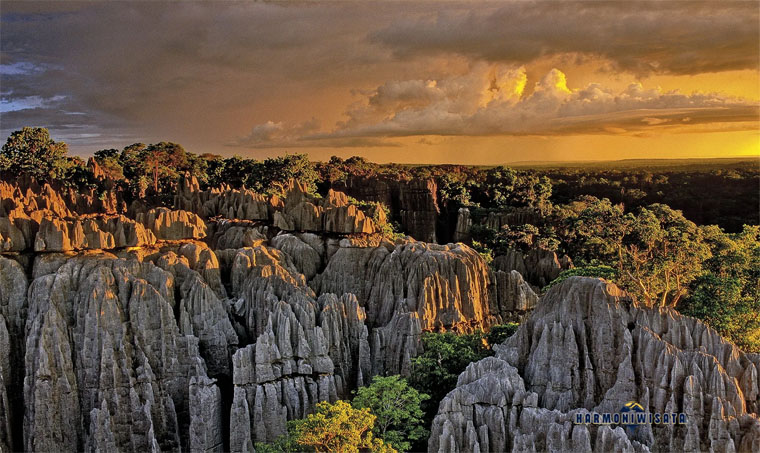 Tsingy de Bemaraha