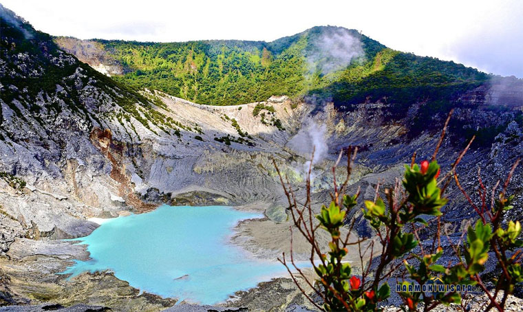 Wisata Lembang Bandung: Alam Sejuk & Spot Populer