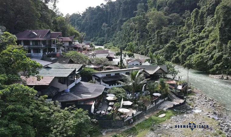 Wisata Desa Bukit Lawang