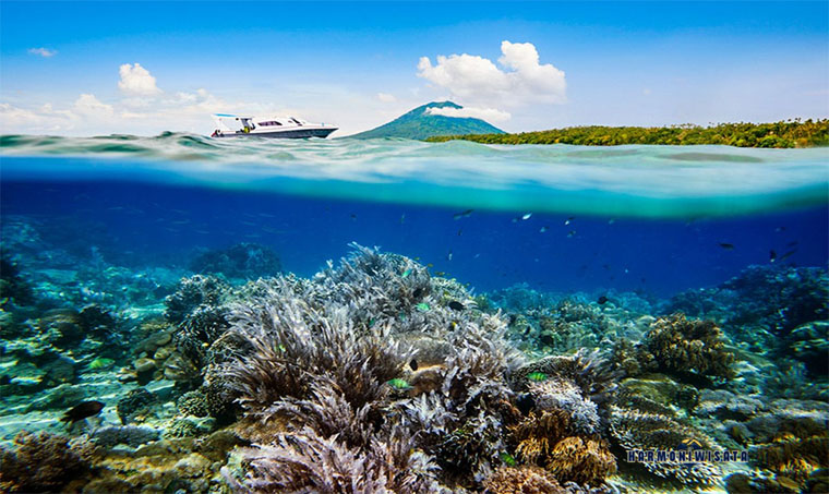 Harmoni Wisata Manado, Sulawesi Utara