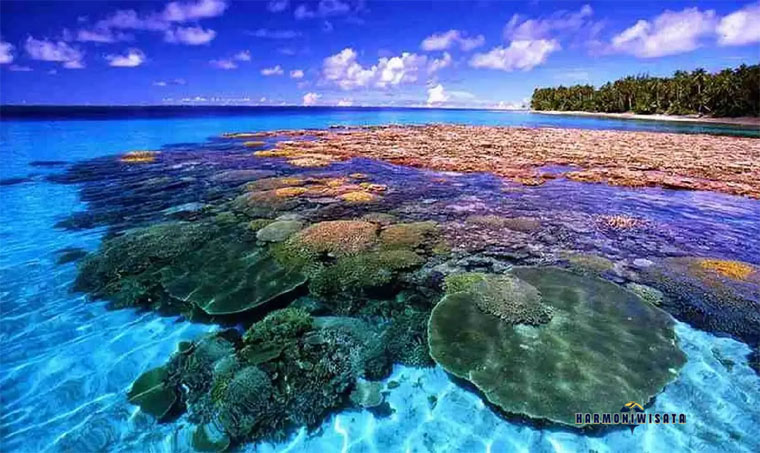 Harmoni Wisata Taman Laut Bunaken – Surga Bawah Laut Dunia