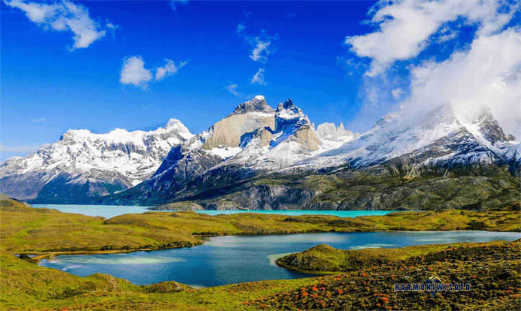 Padang Rumput Patagonia