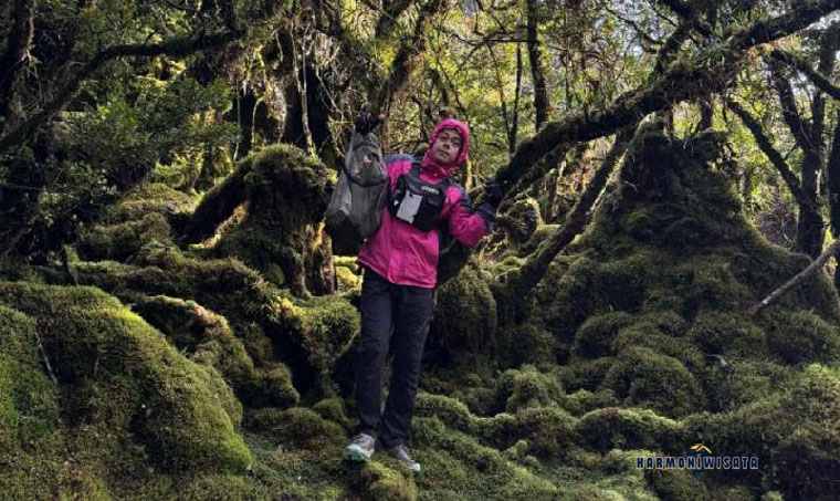 Harmoni Wisata Gunung Binaiya – Maluku