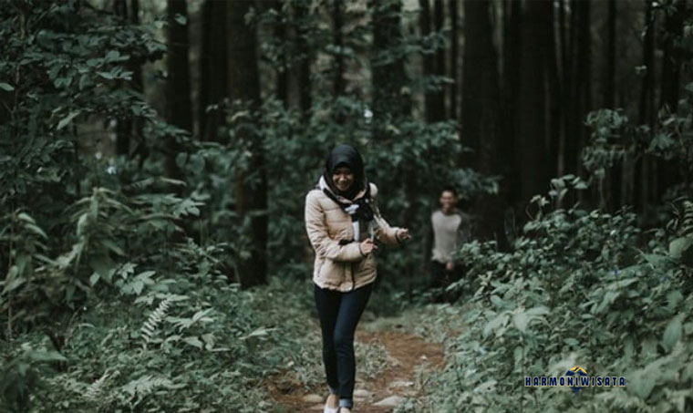 Harmoni Wisata Gunung Pancar, Sentul