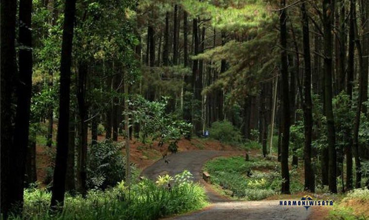 Harmoni Wisata Gunung Pancar, Sentul