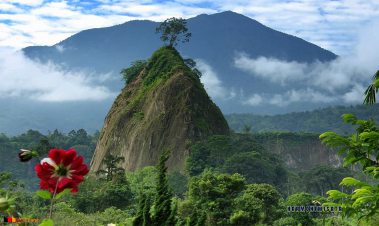 Harmoni Wisata Ngarai Sianok