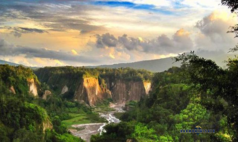 Ngarai Sianok Bukittinggi: Keindahan Lembah Ikonik Sumbar
