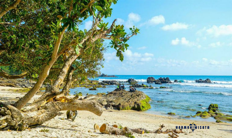 Harmoni Wisata Pantai Wediombo, Gunungkidul