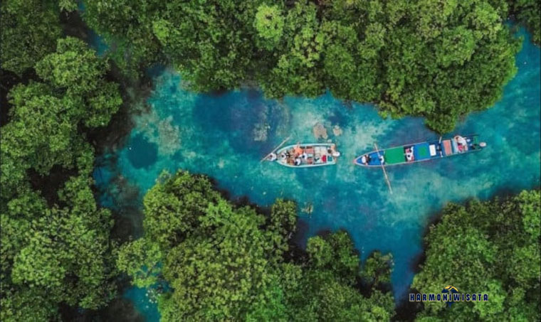 Harmoni Wisata Pulau Morotai Keindahan Alam yang Masih Asri