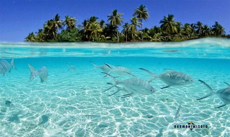 Harmoni Wisata Pulau Morotai Pantai-Pantai yang Memukau