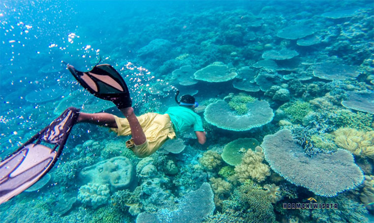 Harmoni Wisata Wakatobi (Sulawesi Tenggara)