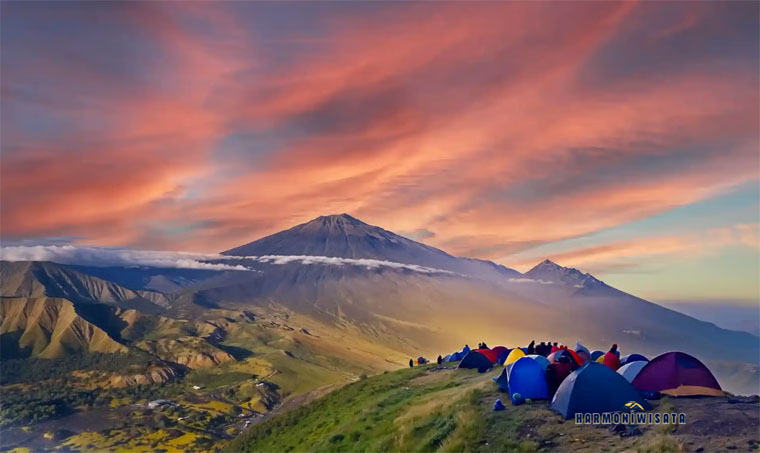 Bukit Pergasingan Lombok: Panorama Sawah Sembalun dan Gunung Rinjani