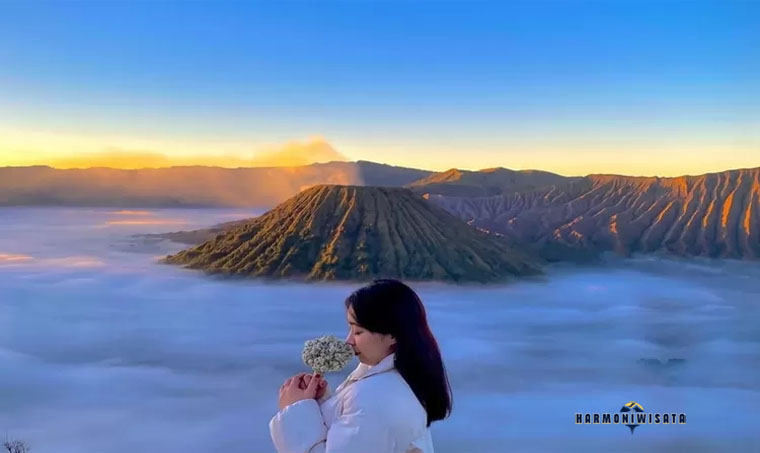 Harmoni Wisata Gunung Bromo
