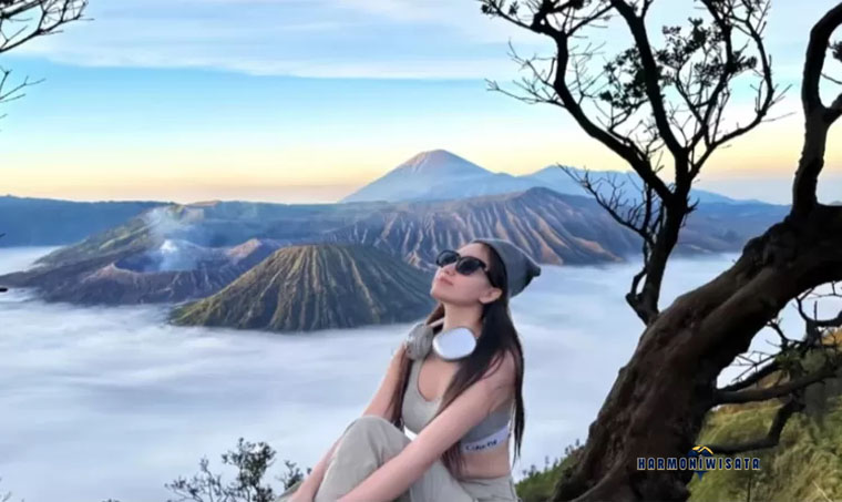 Harmoni Wisata Gunung Bromo