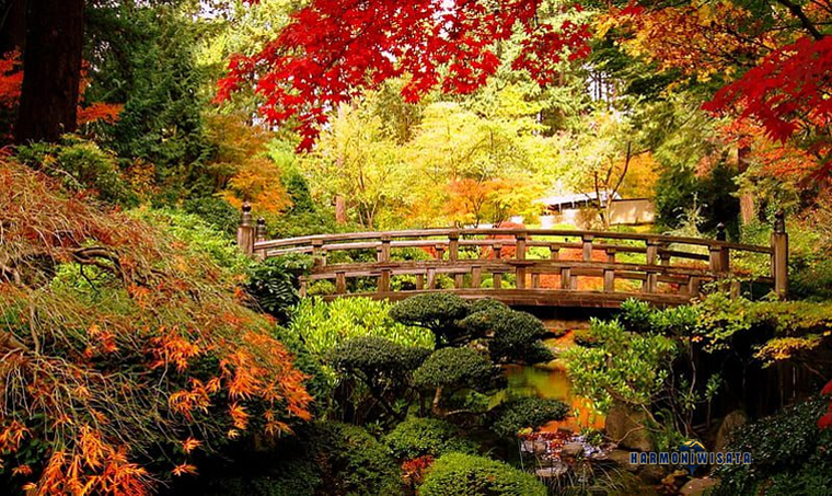 Harmoni Wisata Musim gugur (momiji) Kamikochi Nikko