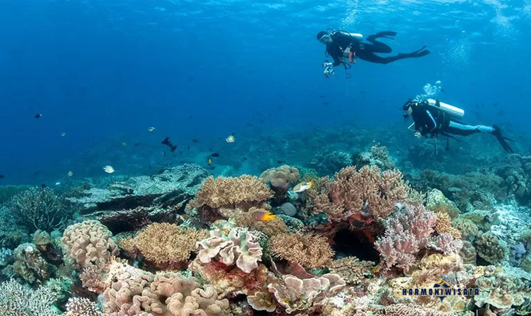 Harmoni Wisata Pulau Hoga – Wakatobi, Sulawesi Tenggara